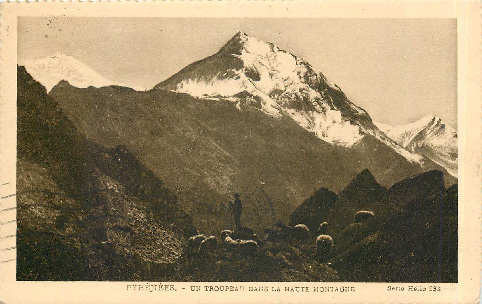 CPA PYRENEES-UN TROUPEAU DANS LA HAUTE MONTAGNE