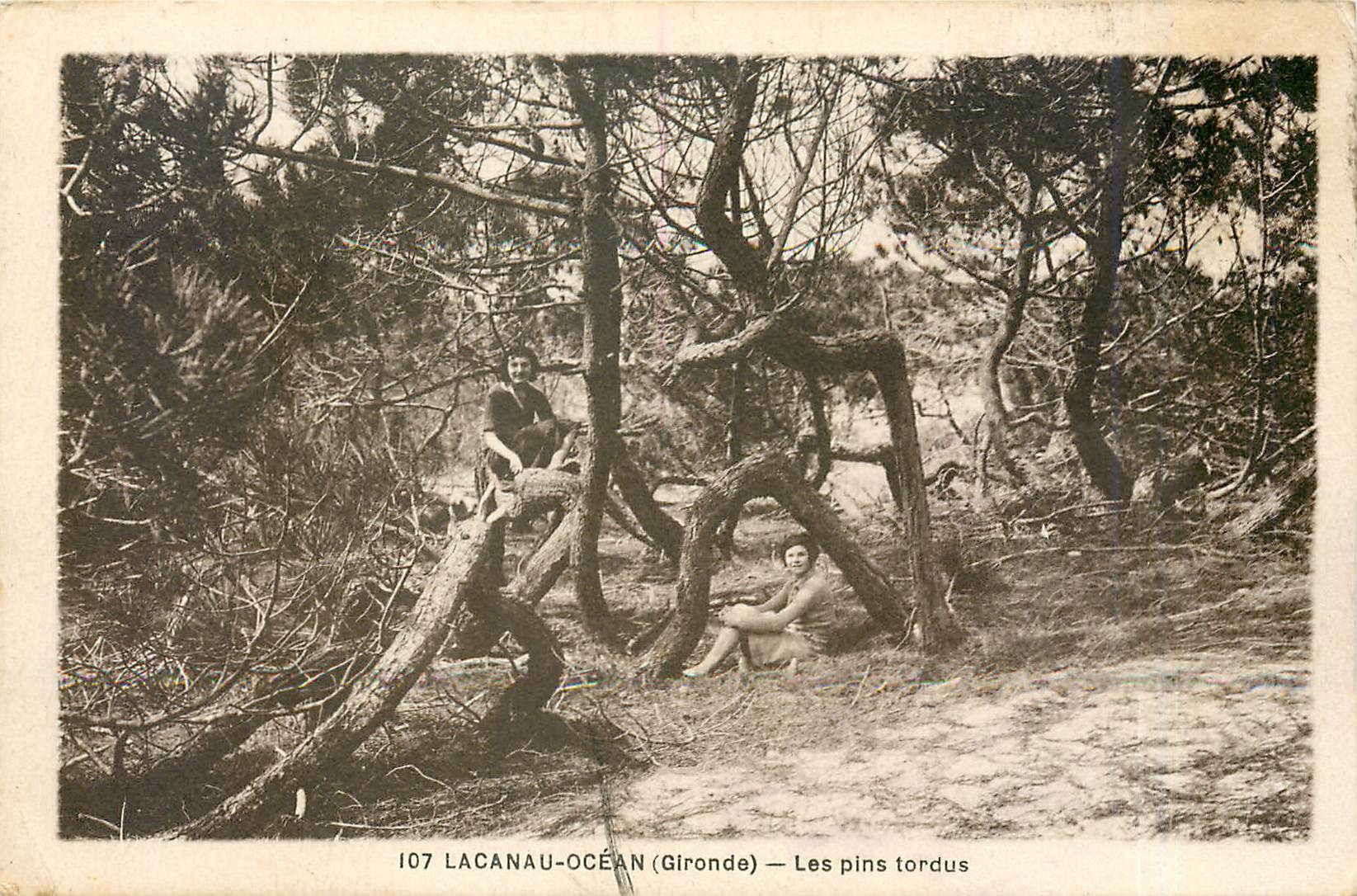 CPA LACANAU OCEAN(Gironde) Les pins tordus