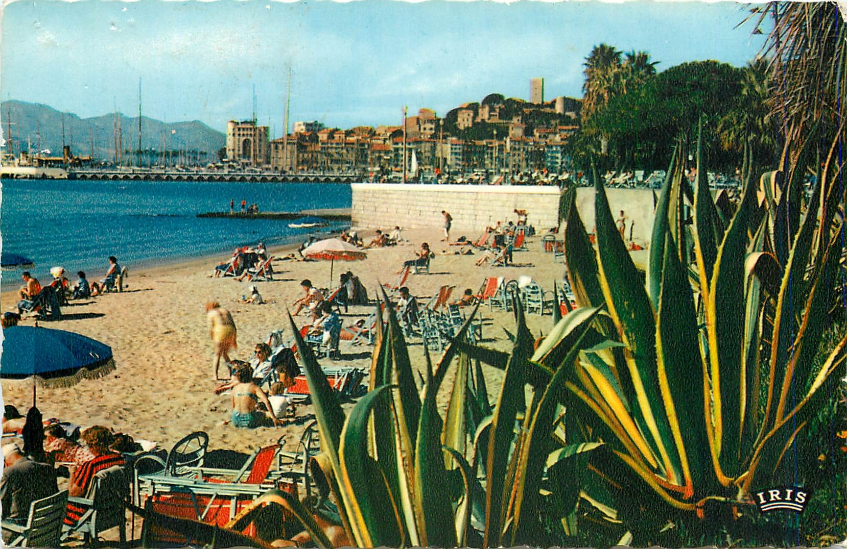 CPA REFLETS DE LA COTE D'AZUR-CANNES