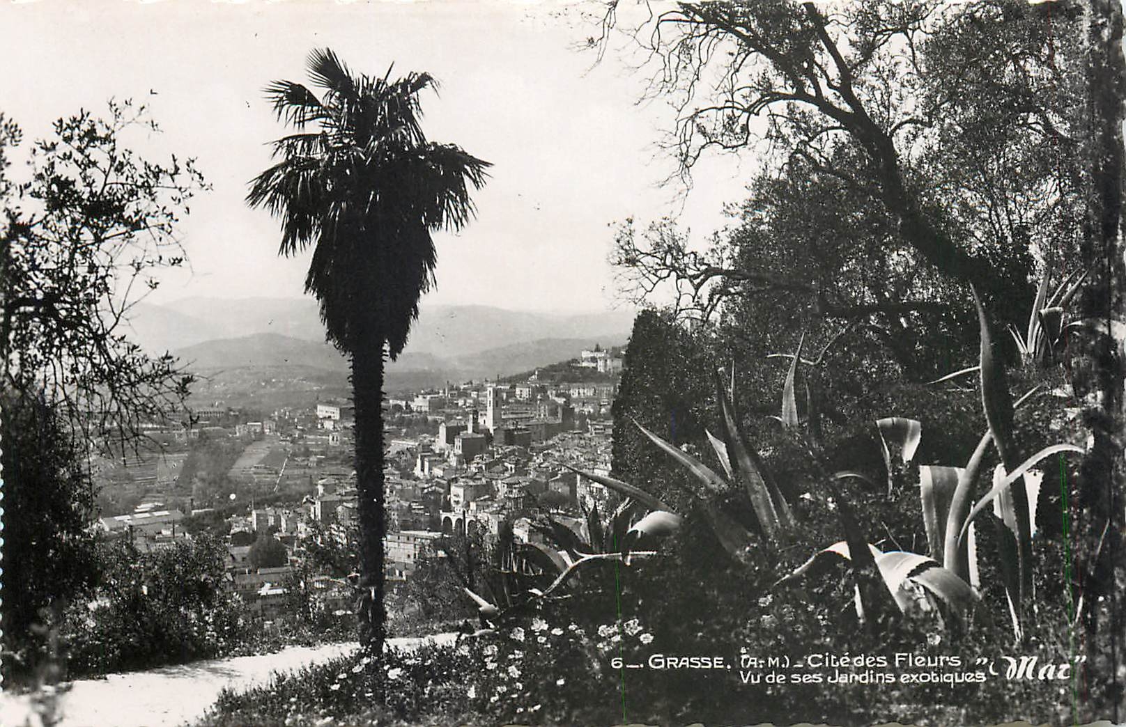 CPA La Cite des Parfums-GRASSE-Vue de ses Jardins exotiques