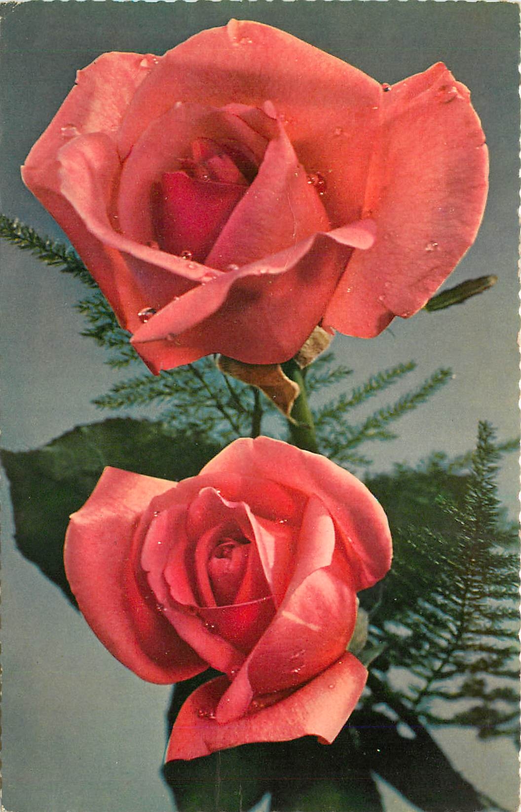 CPA VŒUX Fleurs