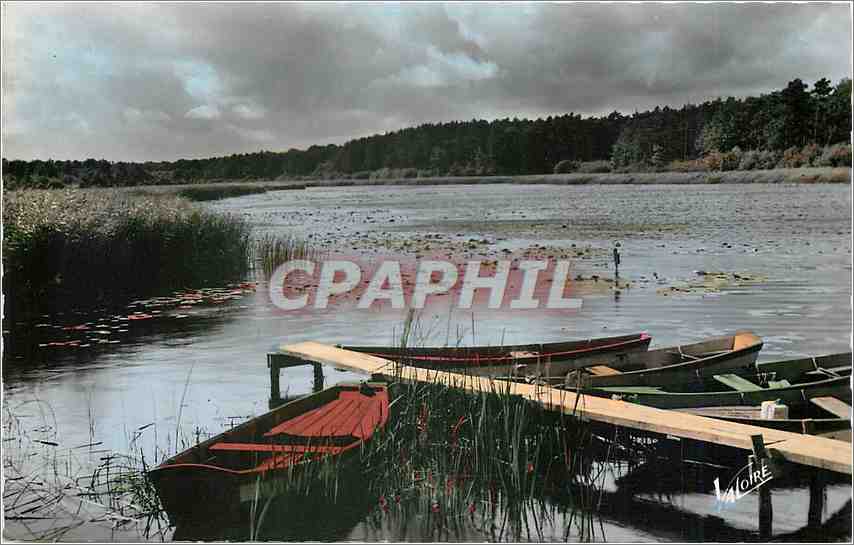 CPA LES MERVEILLES DU VAL DE LOIRET-PAYSAGE DE SOLOGNE