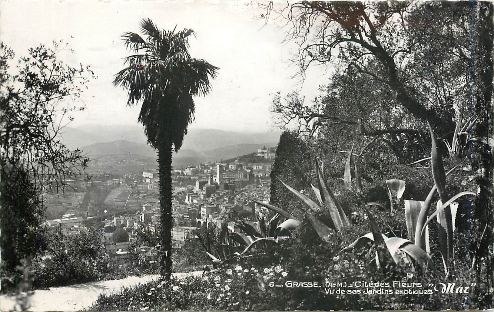 CPM LA CITE DES FLEURS-673-GRASSE-Vue de ses Jardins exotiques