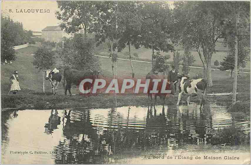 CPA LA LOUVESC Au bord de l'etang de Maison Claire Vaches