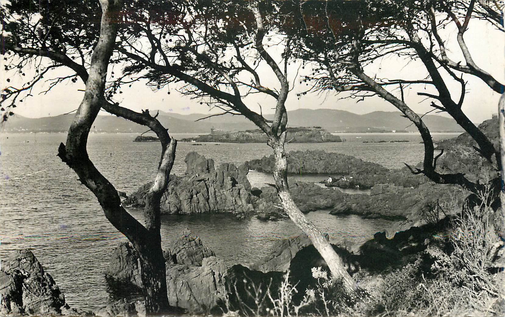 CPA LA COTE D'AZUR AB52-St RAPHAEL(Var)-Le Lion de terre vu de Santa-lucia