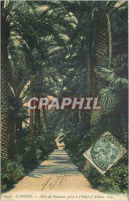 CPA Cannes Allee de Palmiers prise a l'Hotel d'Albion 