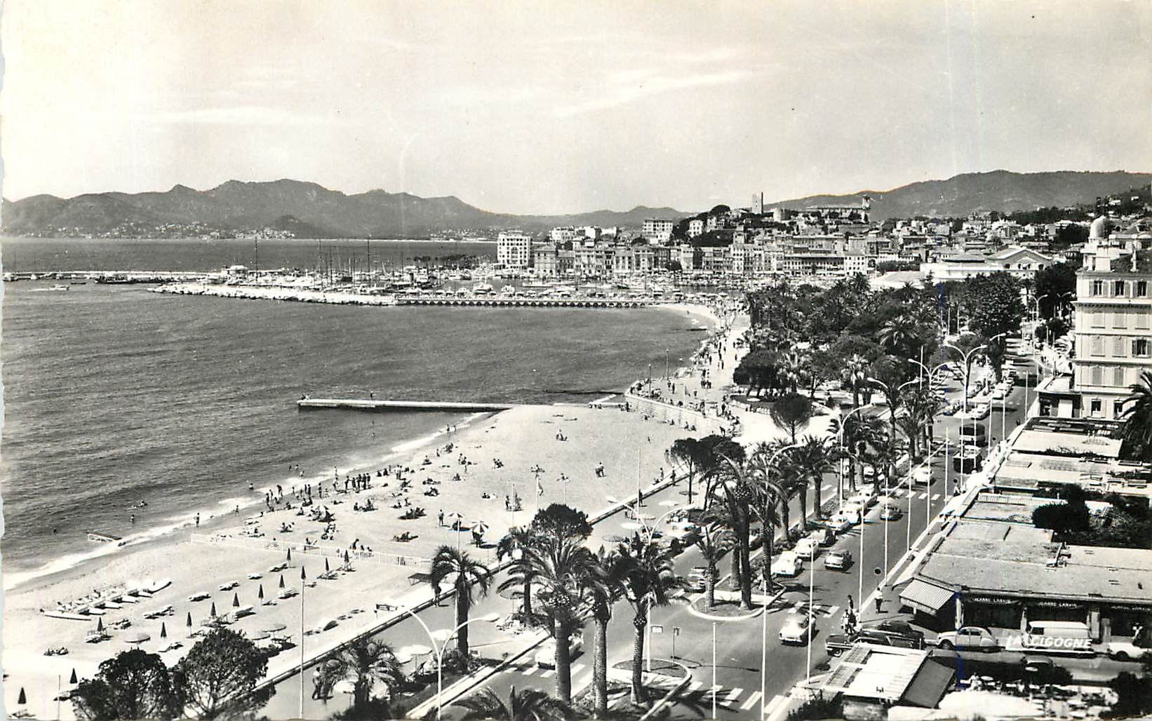 CPM Cannes AM A l'Extremite de la Croisette les Jardins du Casino les Jardins du Casino le Port et l