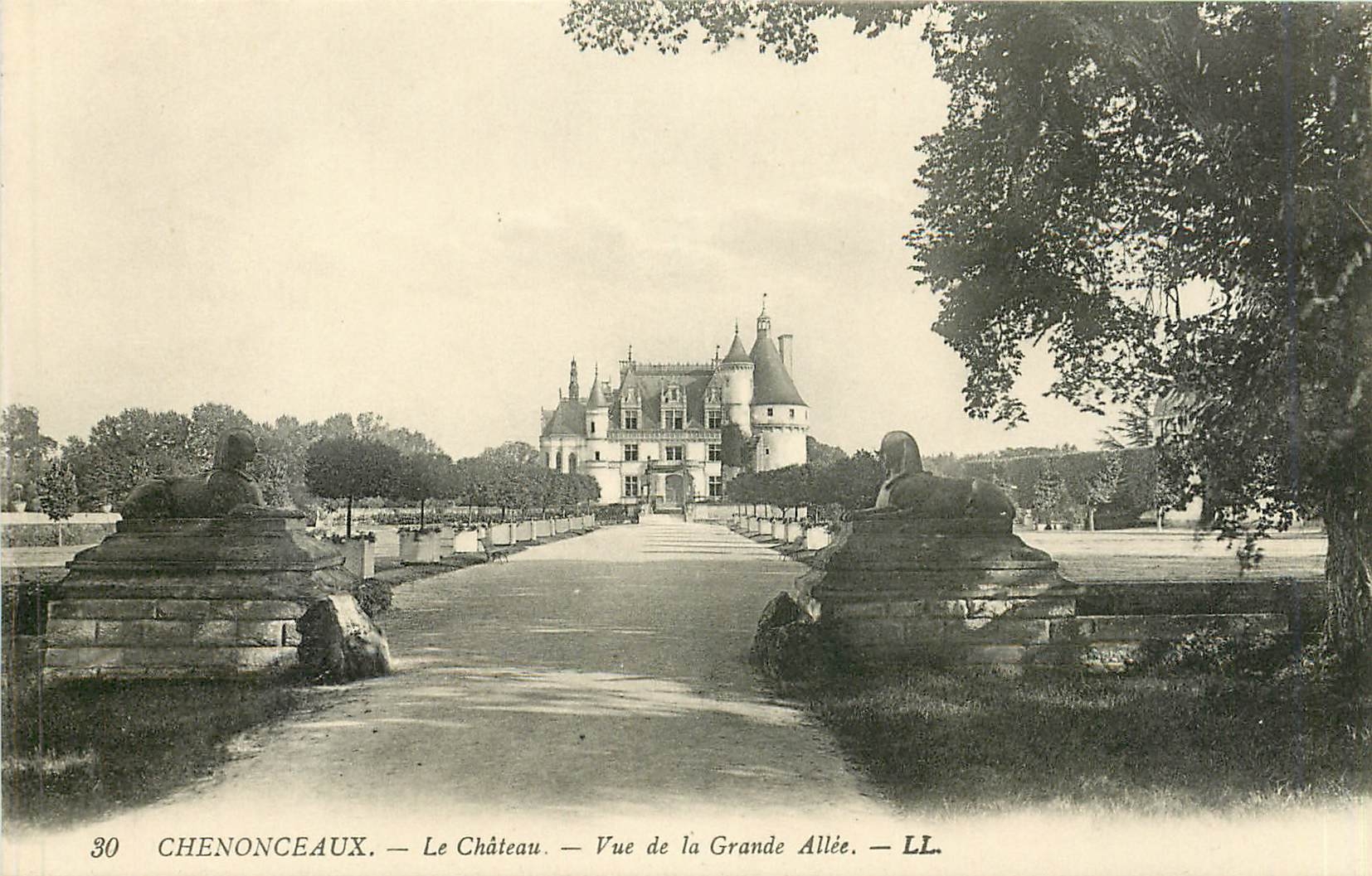CPA Chenonceaux Le Chateau Vue de la Grande Allee 