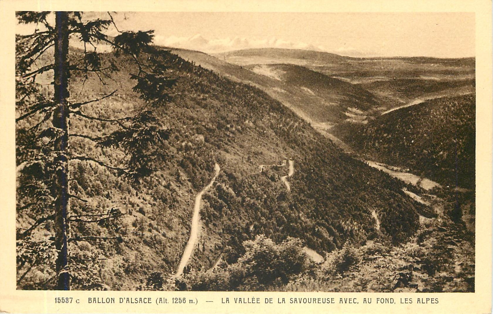 CPA Ballon d'Alsace La Vallee de la Savoureuse Avec au Fond les Alpes 