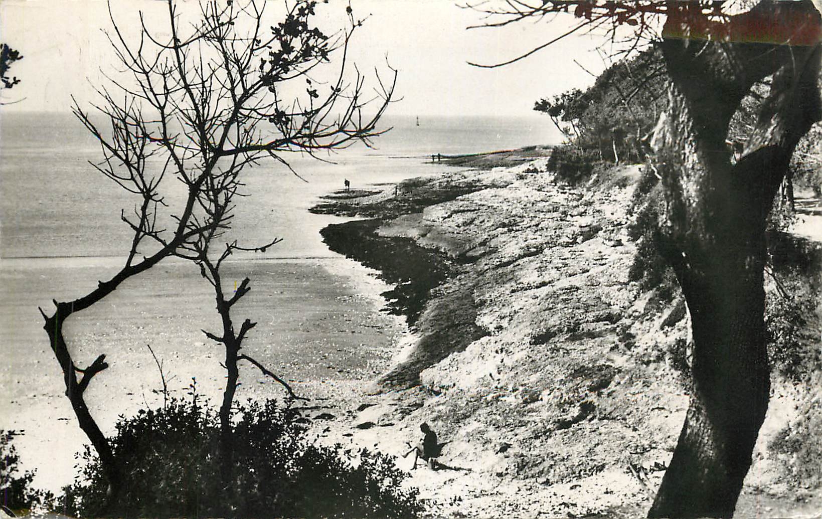 CPM Saint Palais sur Mer Charente Maritime Plage du Concier 