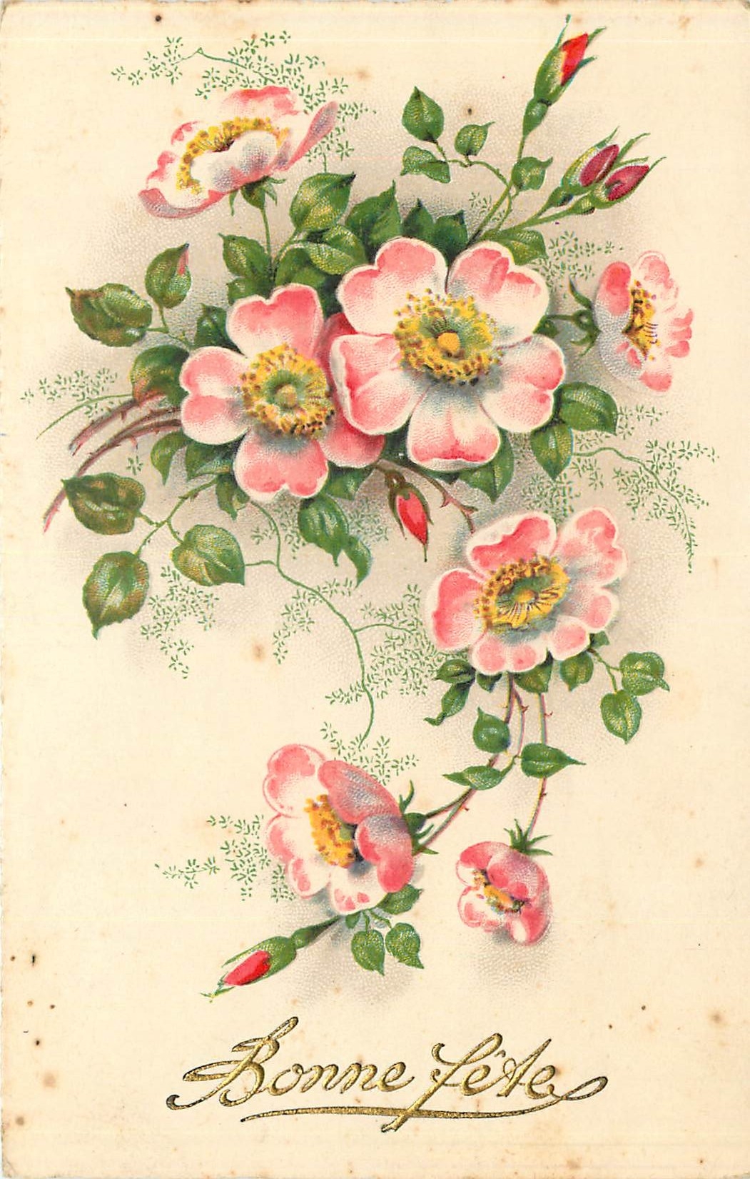 CPA Bonne Fete Fleurs
