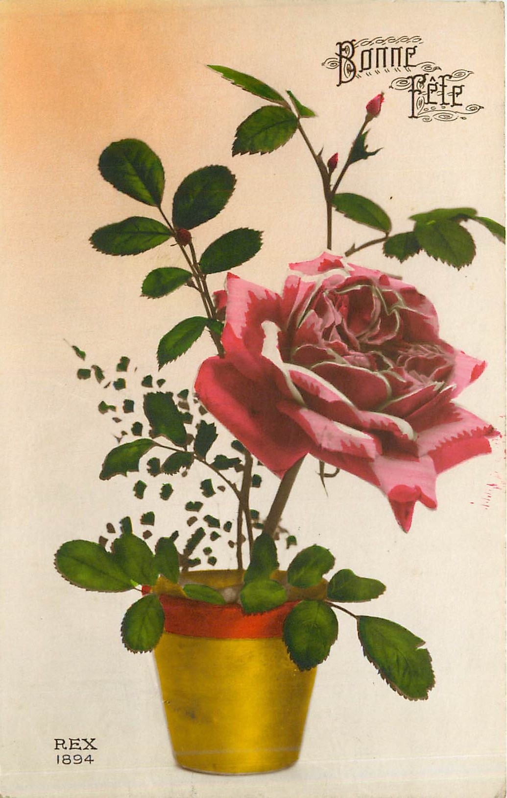 CPA Bonne Fete Fleurs