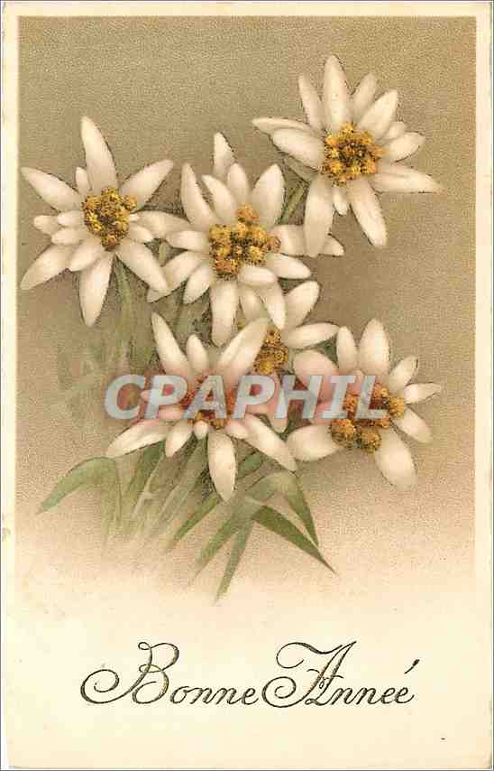 CPA Bonne Annee Fleurs