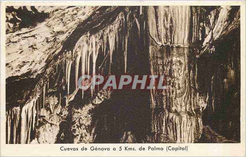 CPA Cuevas de Genova a 5 kms de Palma Capital 