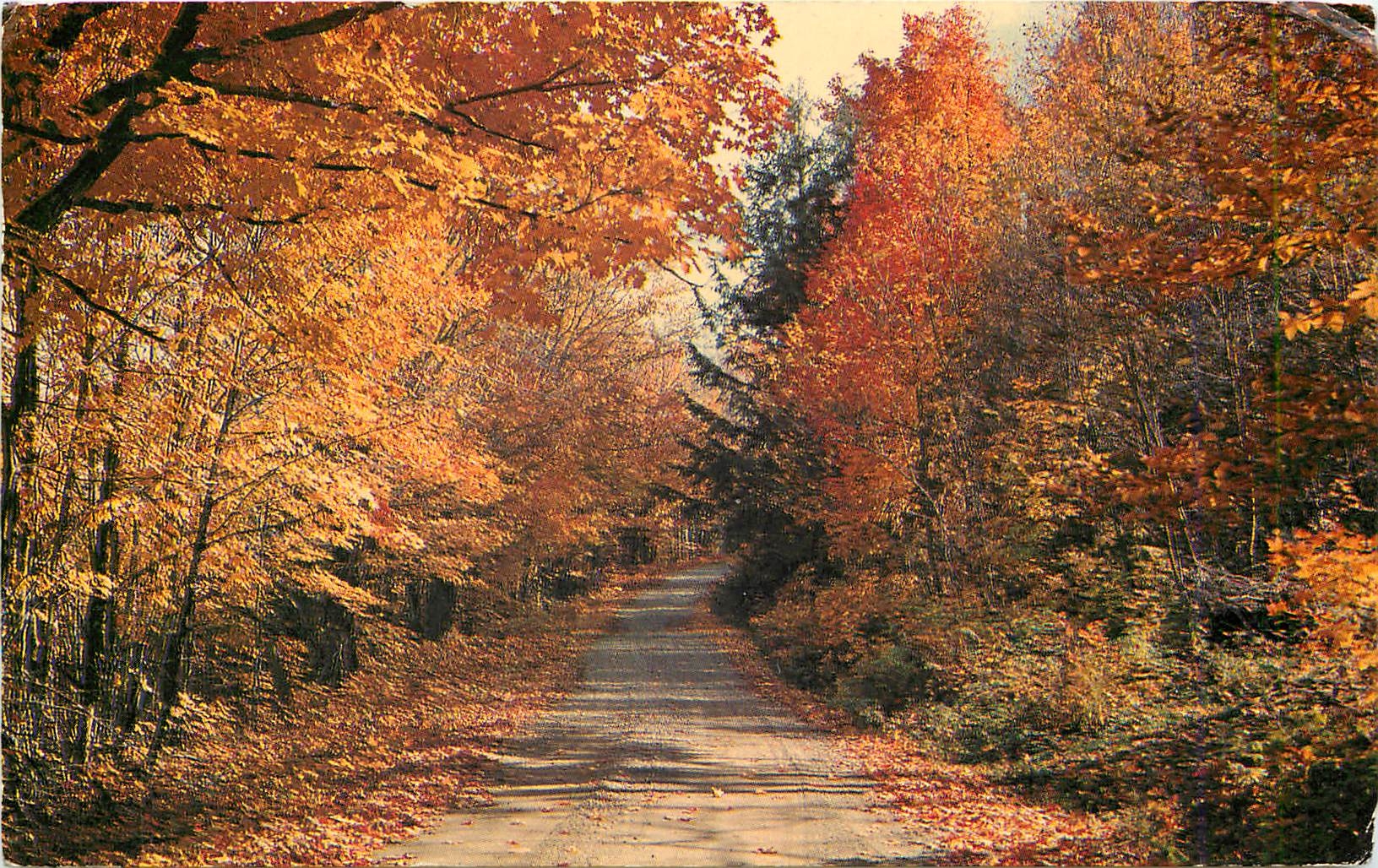 CPA Canada unspoiled woodlands take on breathtaking beauty with the lovely colors of autumn 