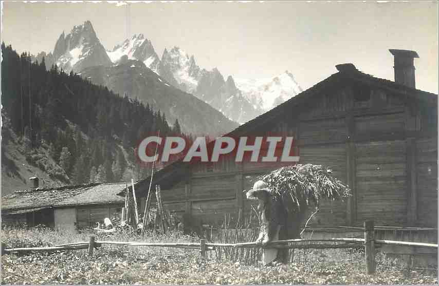 CARTE PHOTO Paysanne Maison
