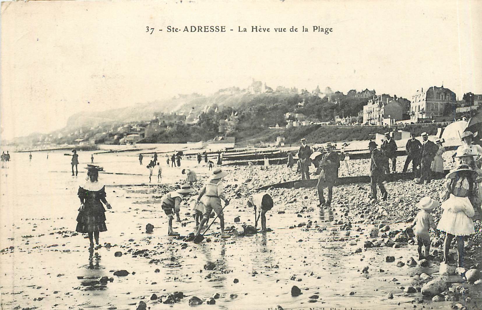 CPA Ste ADRESSE-La Heve vue de la plage