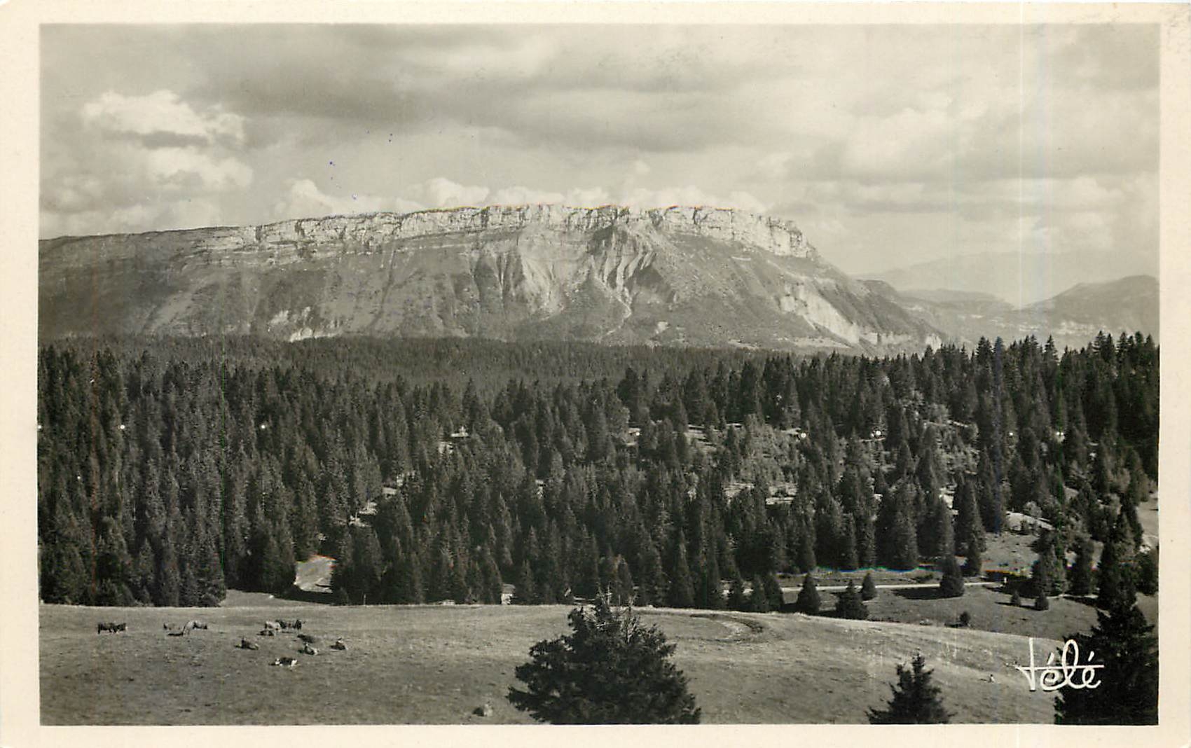 CPA AIX-LES BAINS -Plateau du Mont reard"le Margeriaz"