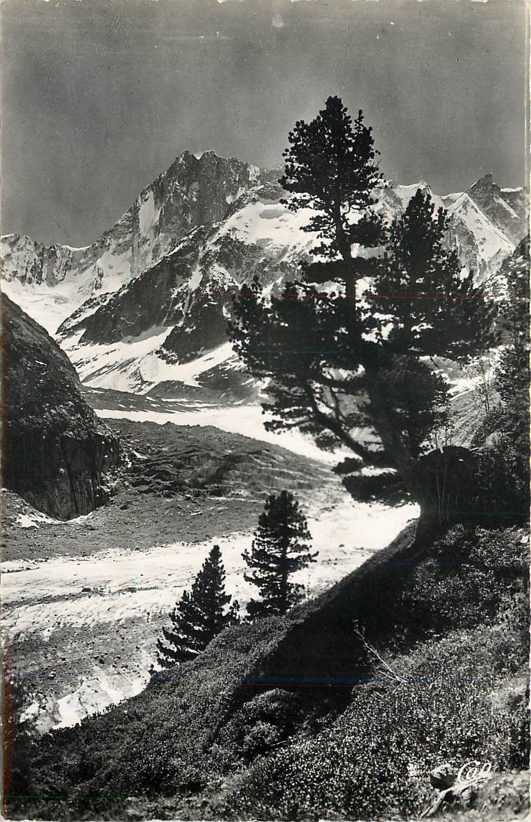 CPA CHAMONIX.MONT BLANC La Mr de Glace  les Jorasses et la Dent du Geant