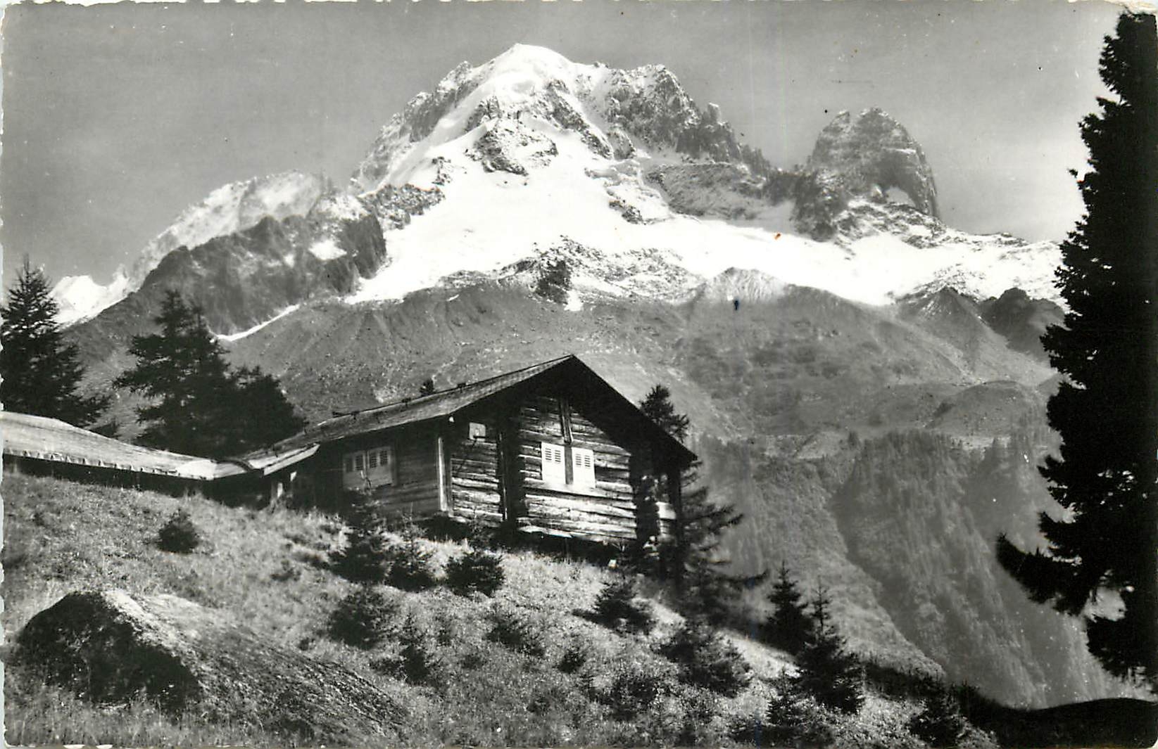 CPA AU PAYS DU MONT BLANC Chalet