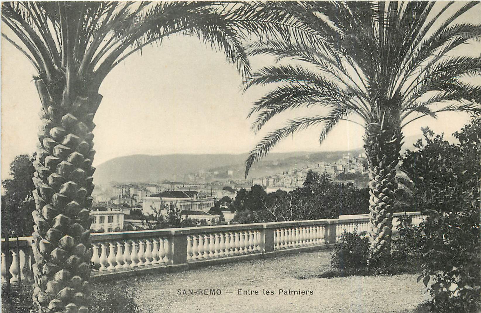 CPA SAN REMO-Entre les Palmiers