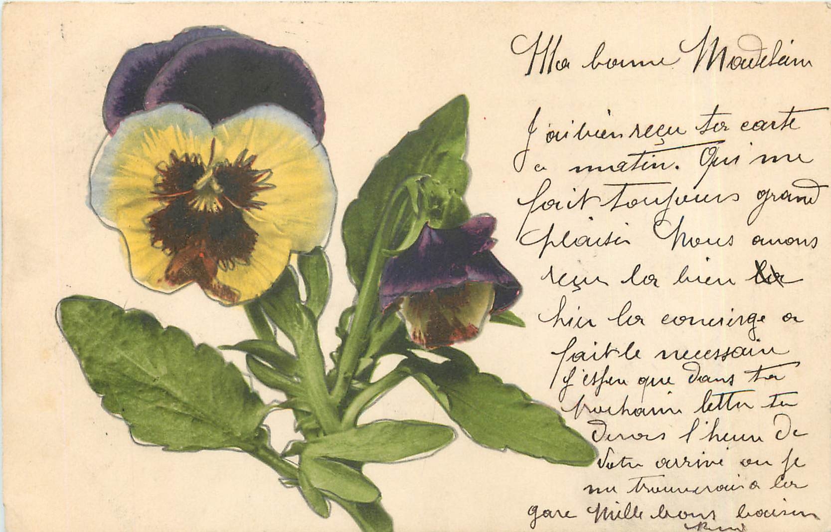 CPA Fleurs