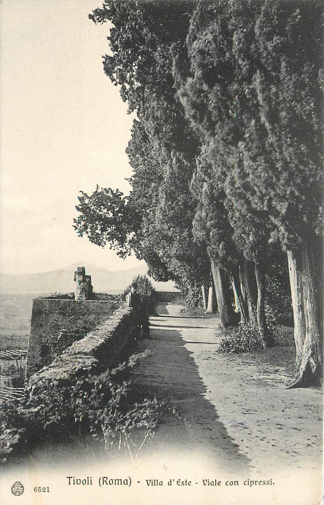 CPA Tivoli(ROMA)- Villa d'Esie-Viale con cipressi