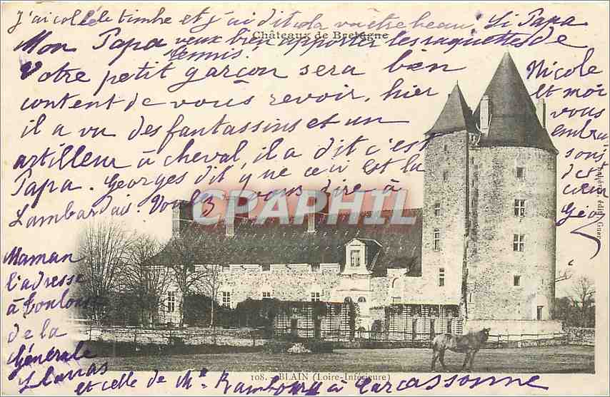 CPA BLAIN (LOIRE INFERIEURE) Cheval