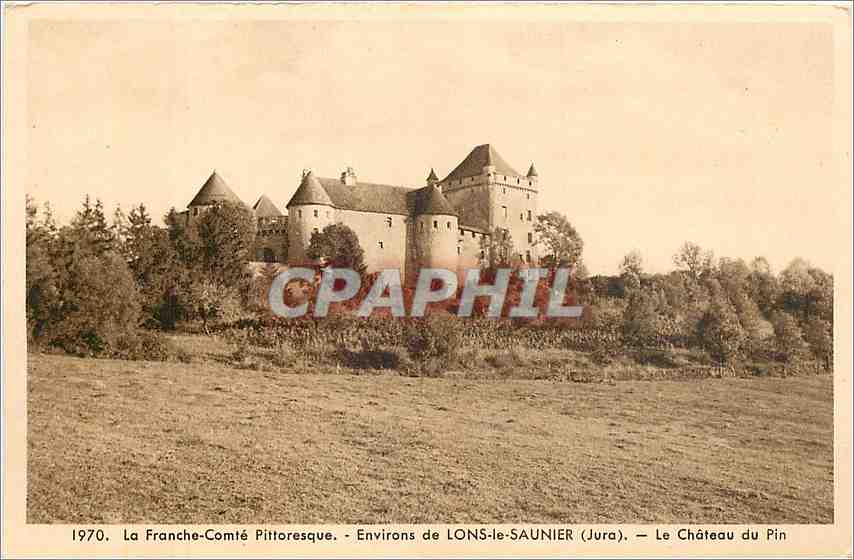 CPA La Franche -comte pittoresque- environs de LONS-L-SAUNIER(Jura)-Le Chateau u Pin