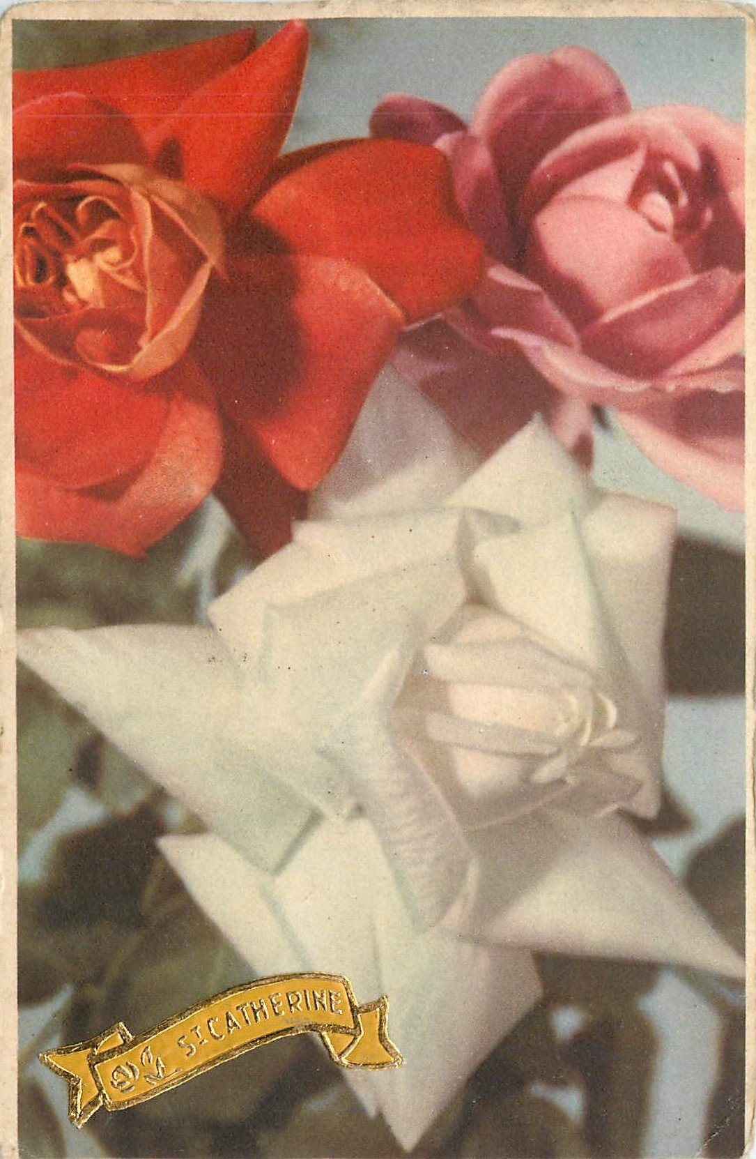 CPA VŒUX Fleurs