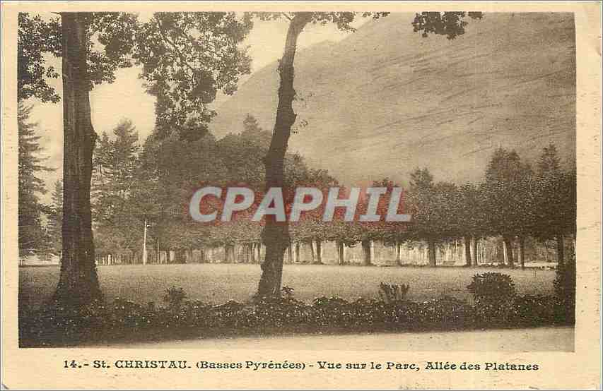 CPA St CHRISTAU-(Basses Pyrenees) Vue sur le Prc  Allee des Platanes