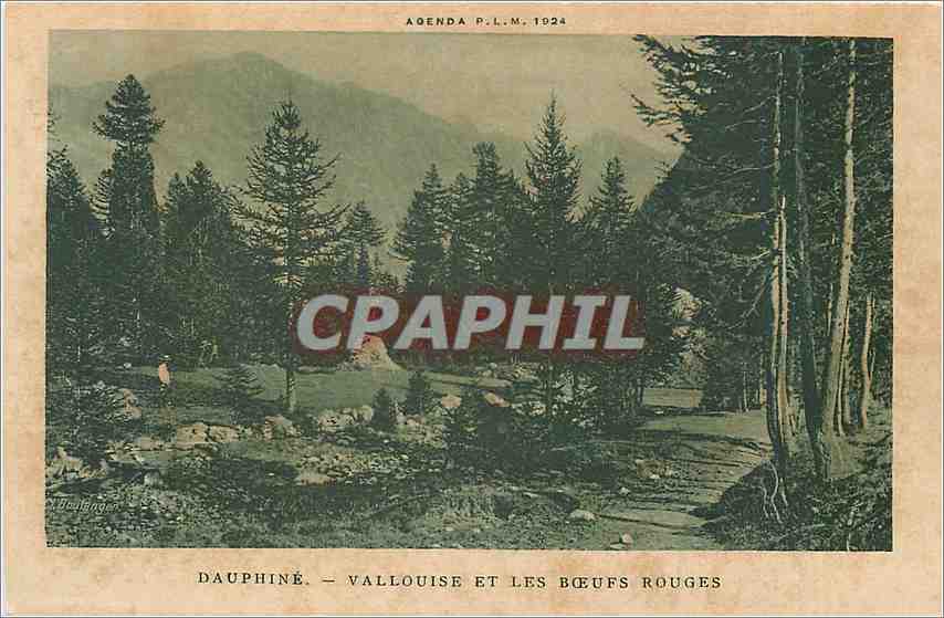 CPA DAUPHINE-VALLOUISE ET LES BOEUFS ROUGES