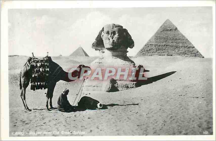 CPA CAIRO Chameau