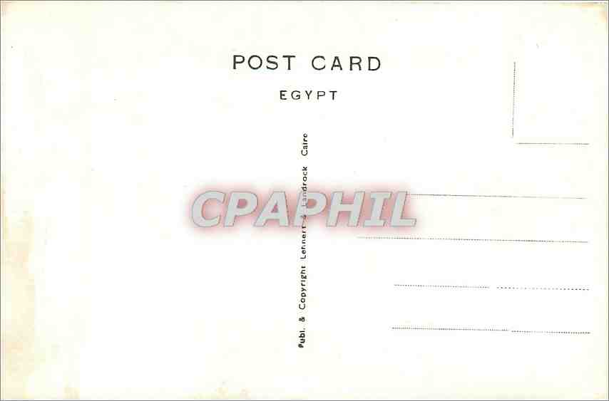 CPA CAIRO Chameau — Rückseite