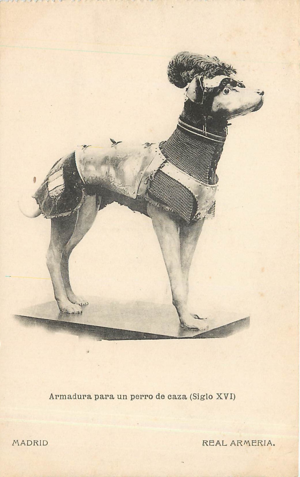 Armure pour chien de chasse (XVIe siècle) — Madrid, Real Armeria