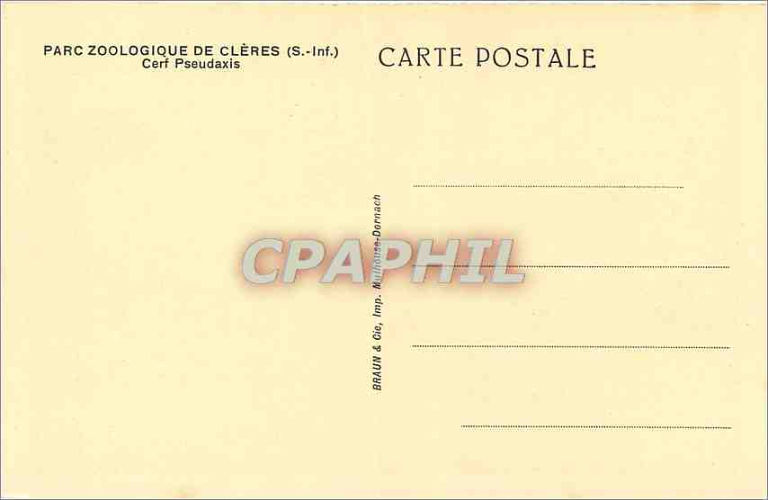 CPA PARC ZOOLOGIQUE DE CLERES(S-inf) Cerf — Back