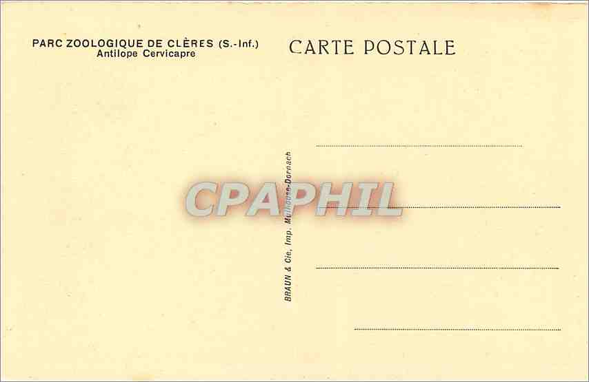CPA PARC ZOOLOGIQUE DE CLERES(S-inf) Antilope — Rückseite