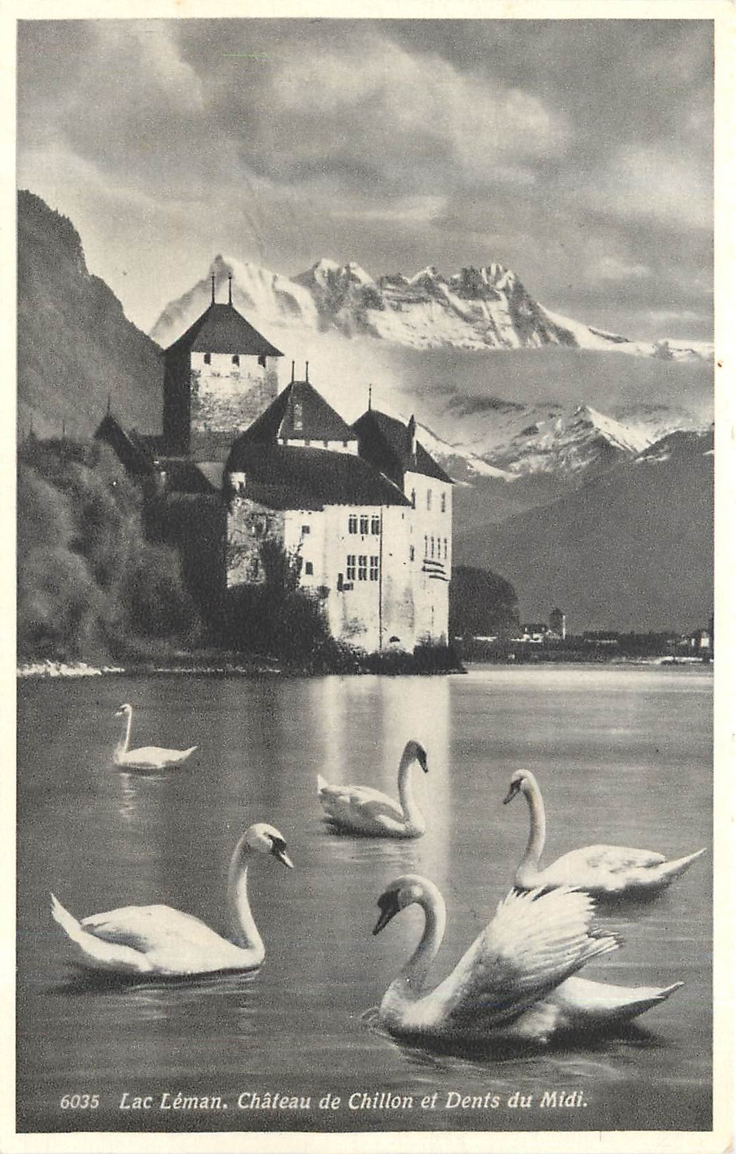 CPA LAC LEMAN-Chateau de Chillon et Denis du Midi Cygnes