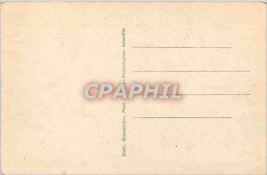 99 MOUTONS et UN CHAMPENOIS font 100 BÊTES ! — Éditeur CPAPHIL, n° de série non visible — Verso
