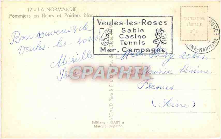 CPM LA NORMANDIE-Pommiers en fleurs et poiriers blancs Vaches — Rückseite