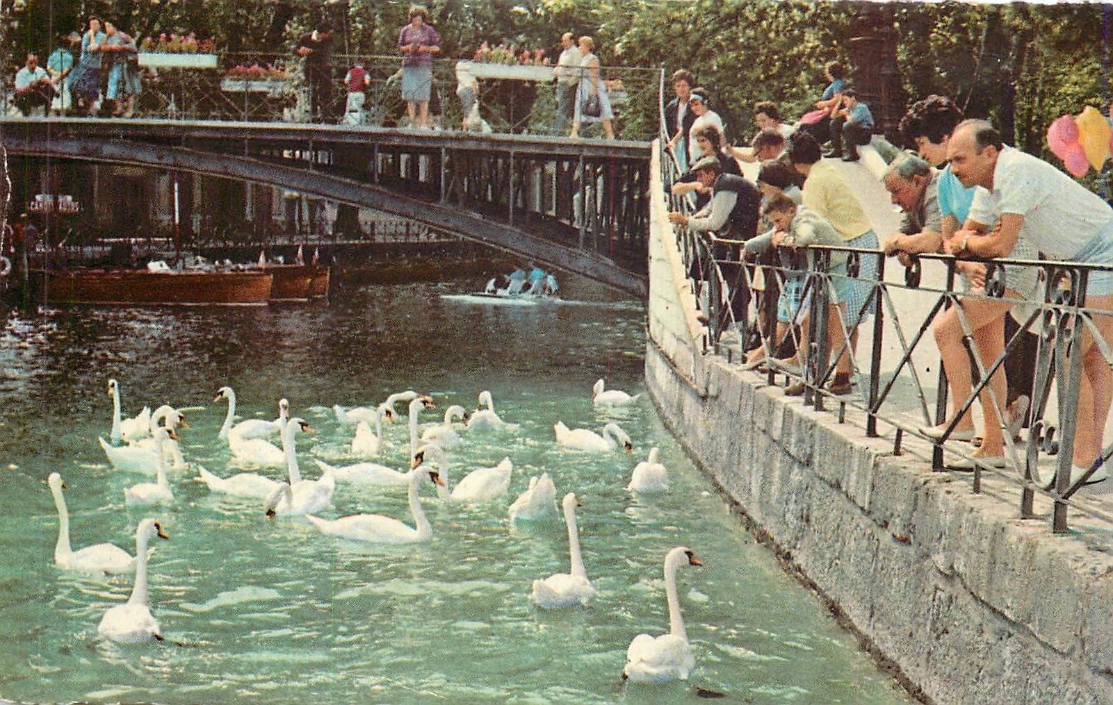 CPM ANNECY-Le Pont des Amours Cygnes