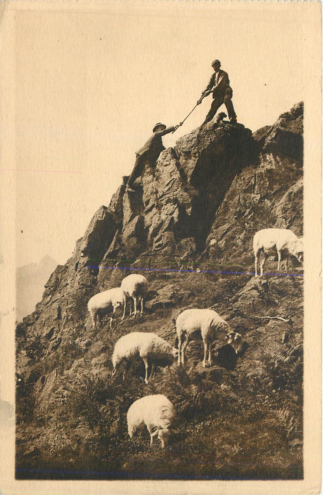 CPA LES PYRENEES-Une Escalade en Montagne  Berger Moutons