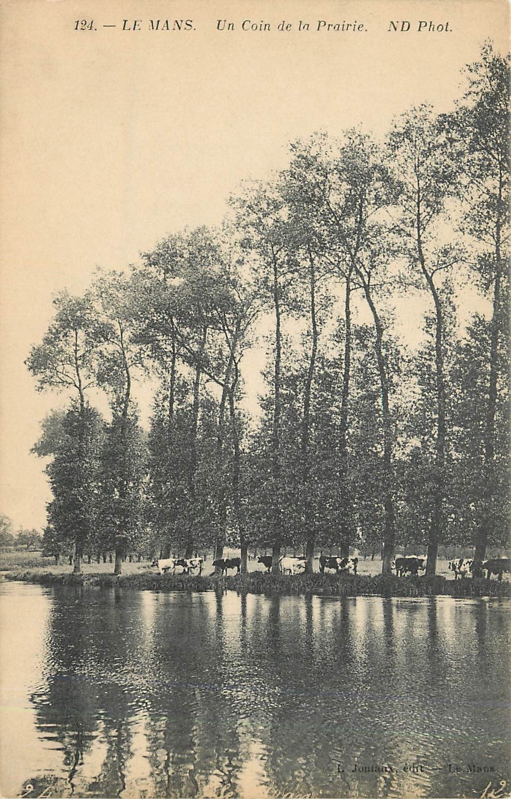 CPA LE MANS-Un coin de la Prairie