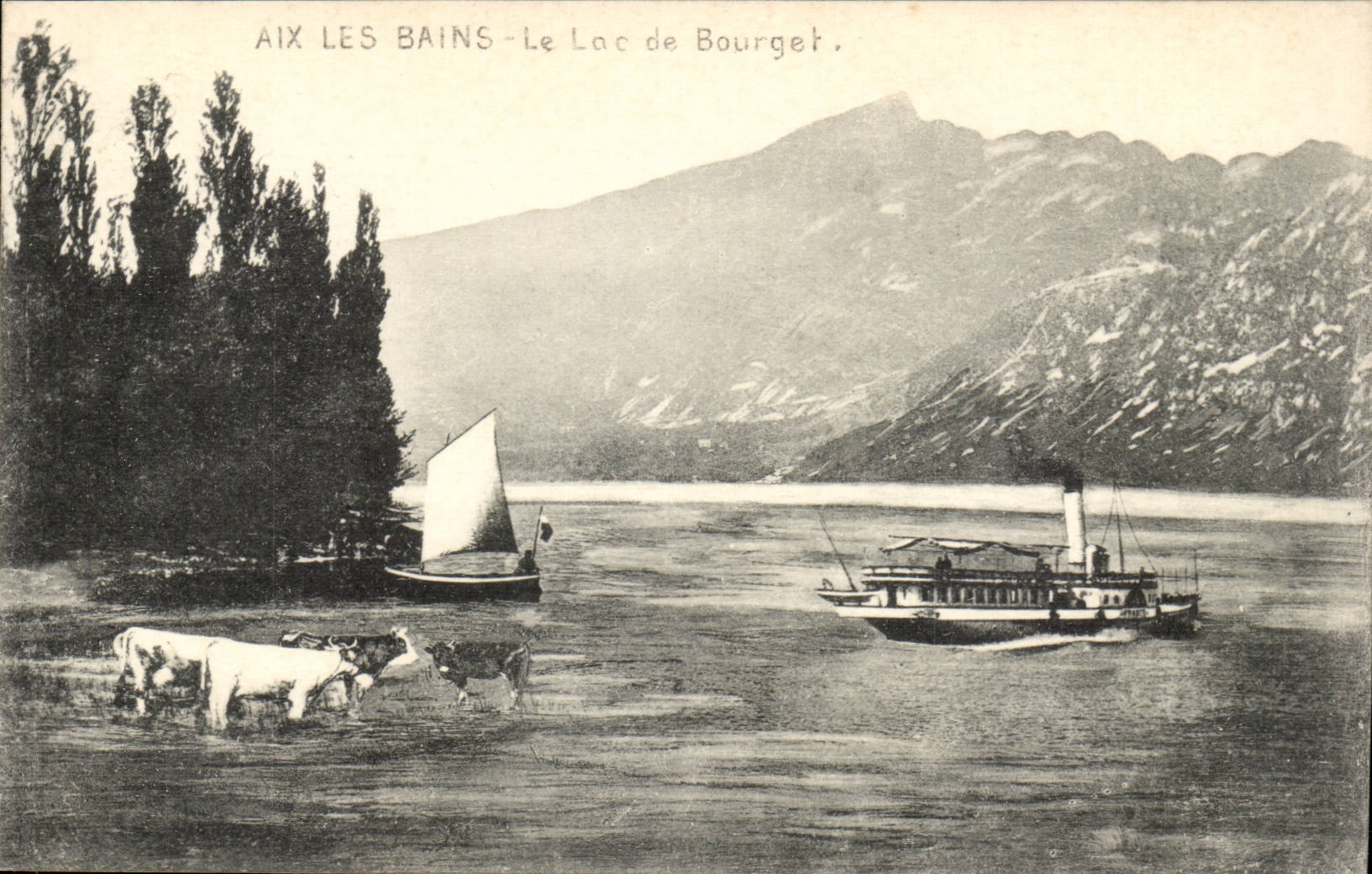 Aix les Bains - Le Lac du Bourget - vache - bateau - CPA 