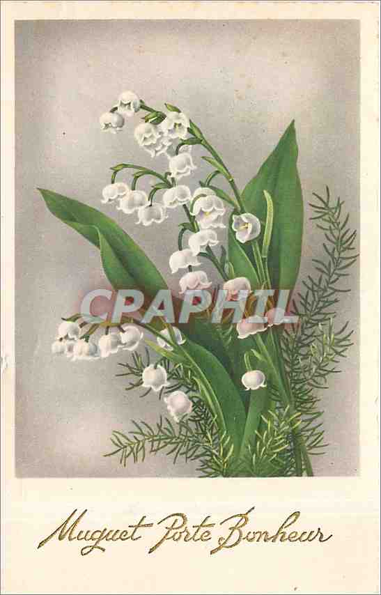 CPA Muguet Porte Bonheur