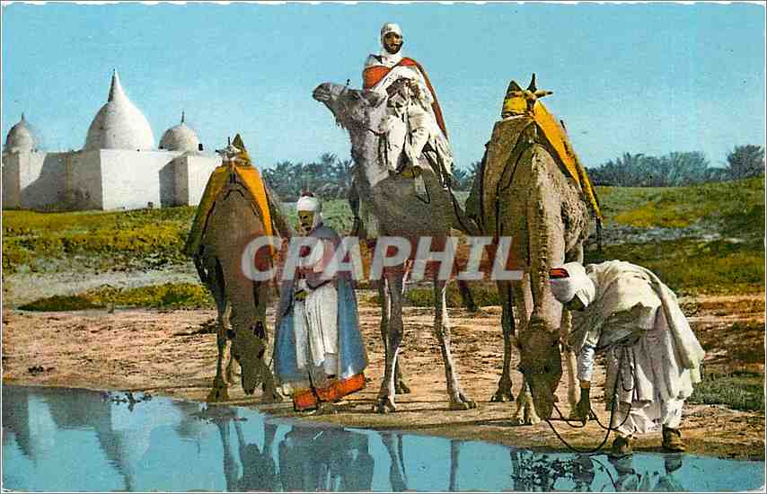 Halte près du Marabout — Scènes & Types d'Afrique du Nord — Éditions naturelles, Alger