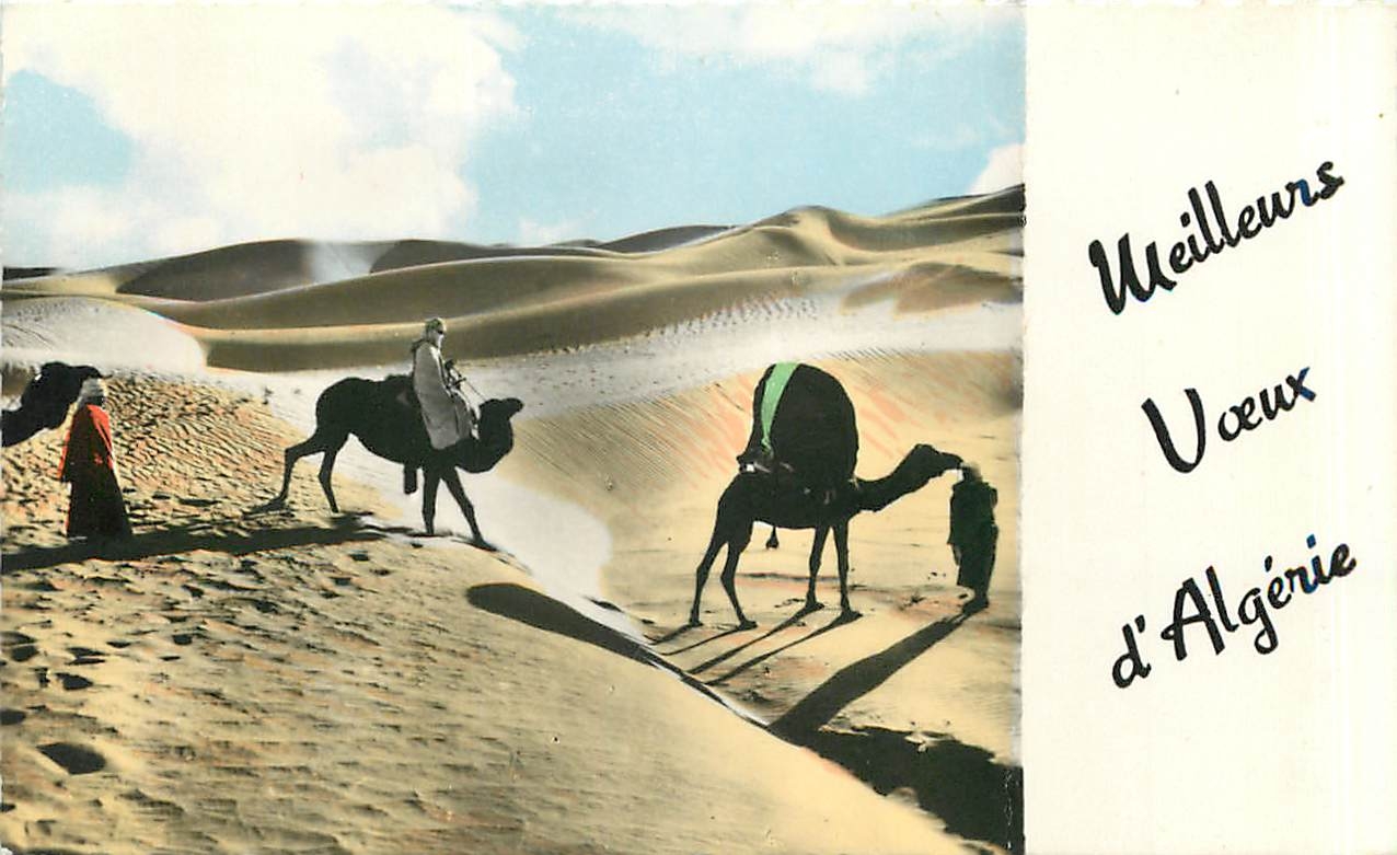 CPA Meilleurs vœux d'Algérie Chameau