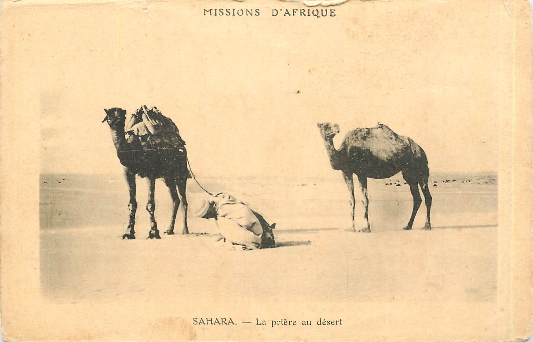 Sahara — La prière au désert — Missions d'Afrique