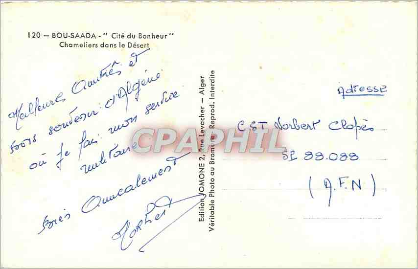 CPA BOU-SAADA - "Cité du Bonheur" Chameliers dans le désert Chameaux — Rückseite