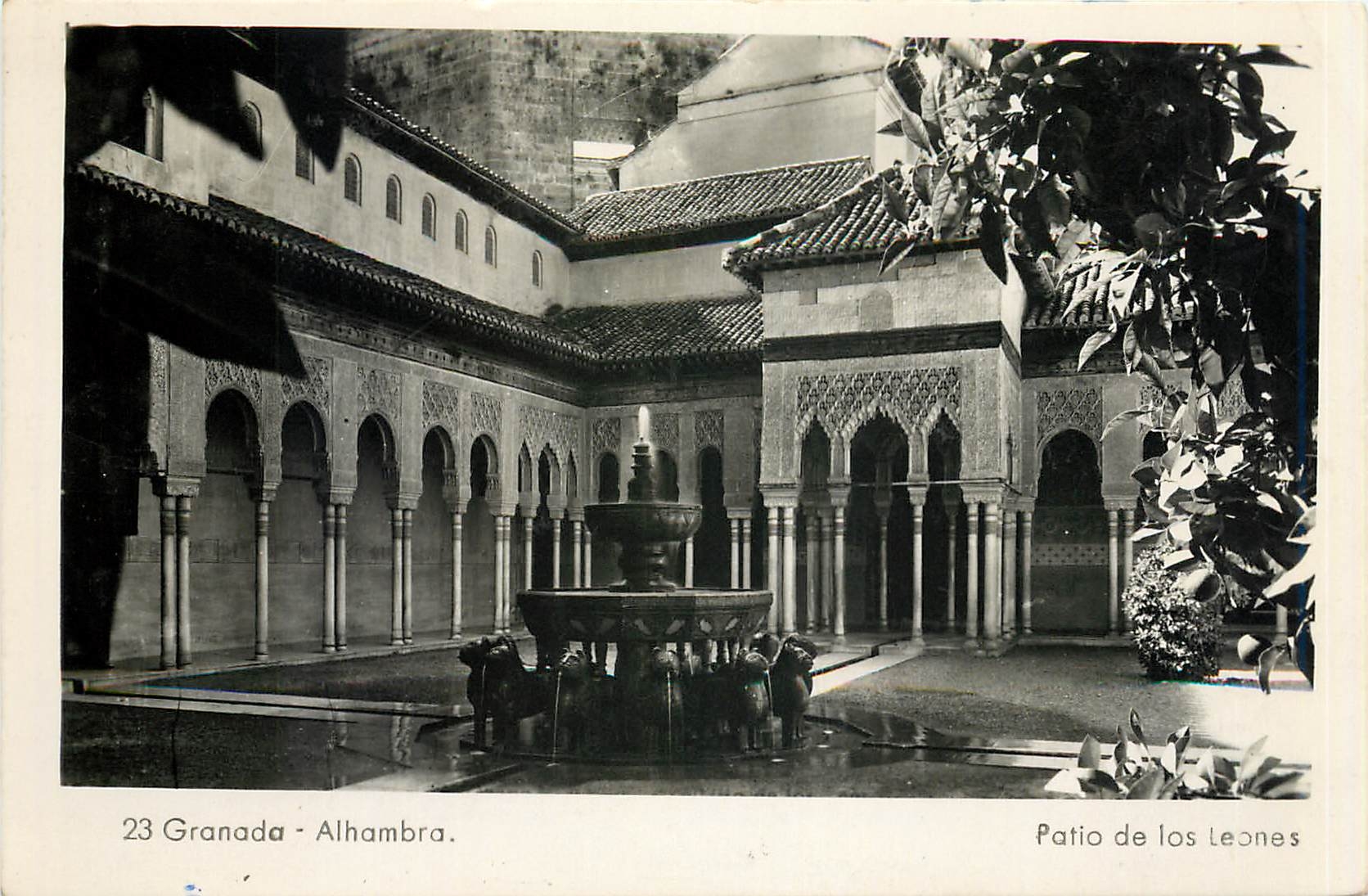 CPA Granada Alhambra Patio de Los Leones 